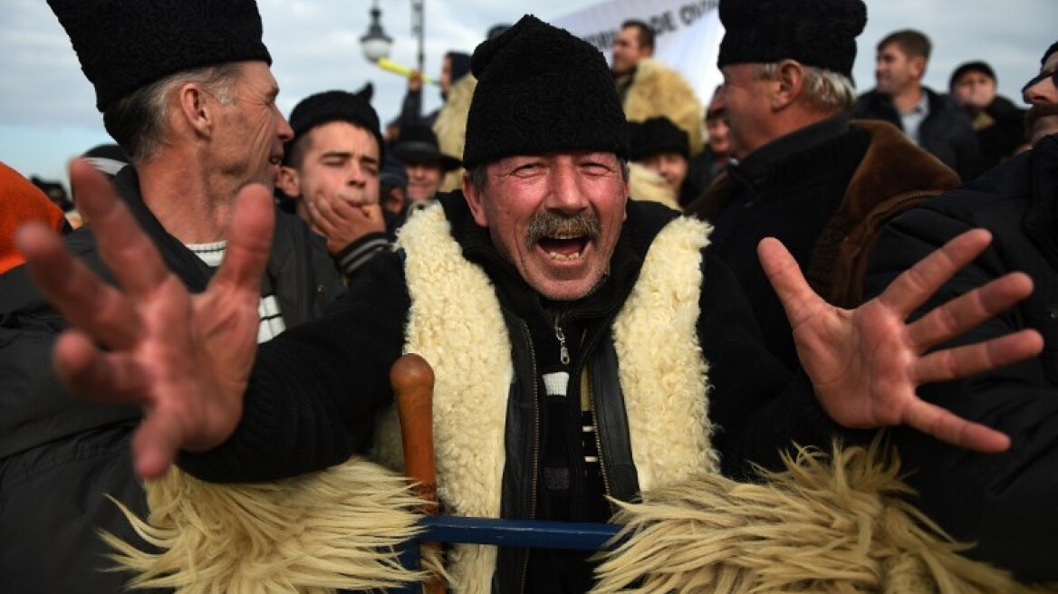 Ρουμανία: Βοσκοί «μπούκαραν» στη βουλή για να υπερασπιστούν τα... τσοπανόσκυλά τους