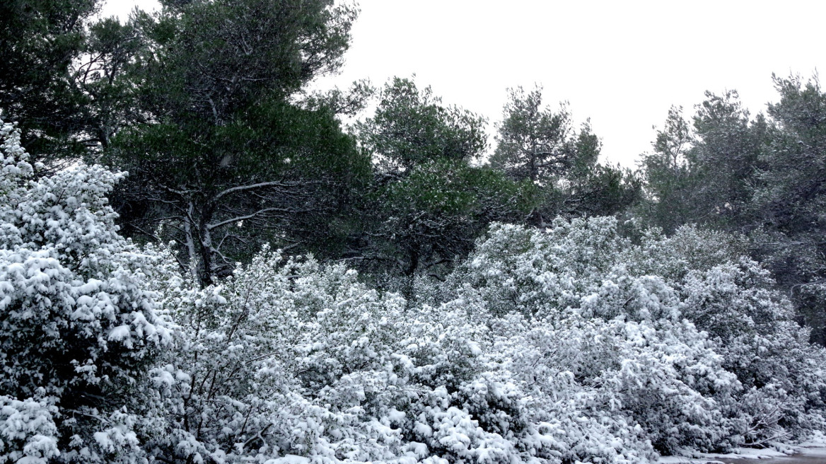 Προβλήματα σε όλη την Ελλάδα από την επέλαση του χιονιά