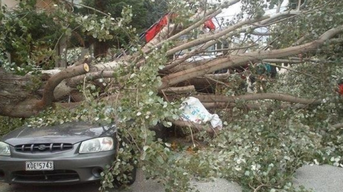 Η θάλασσα βγήκε... στη στεριά στην Πάτρα: Πτώσεις δένδρων, θυελλώδεις άνεμοι και σκόνη