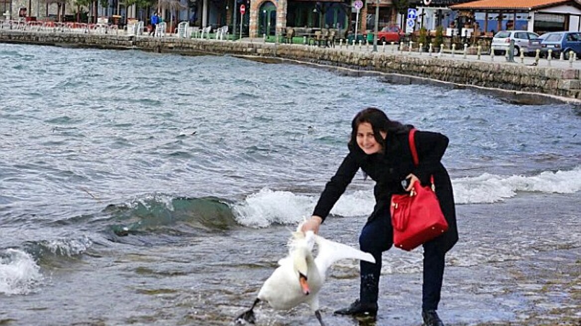 Τουρίστρια σκότωσε έναν κύκνο προσπαθώντας να βγάλει την τέλεια selfie