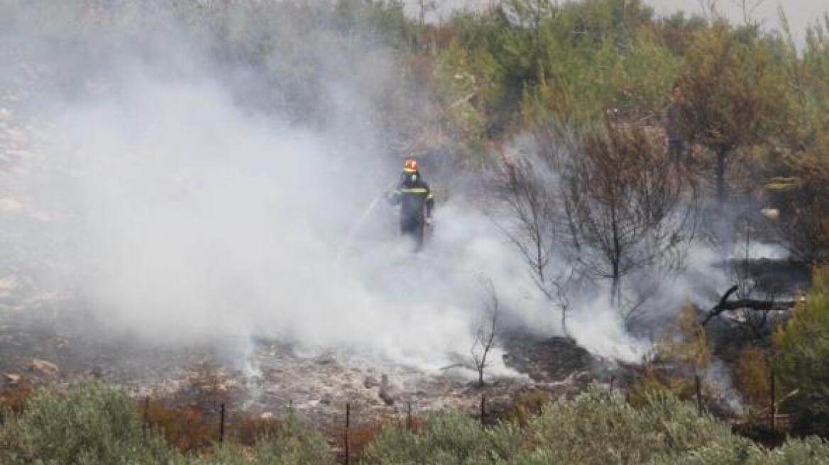 Σε ύφεση οι φωτιές σε Ιεράπετρα και Μονεμβάσια