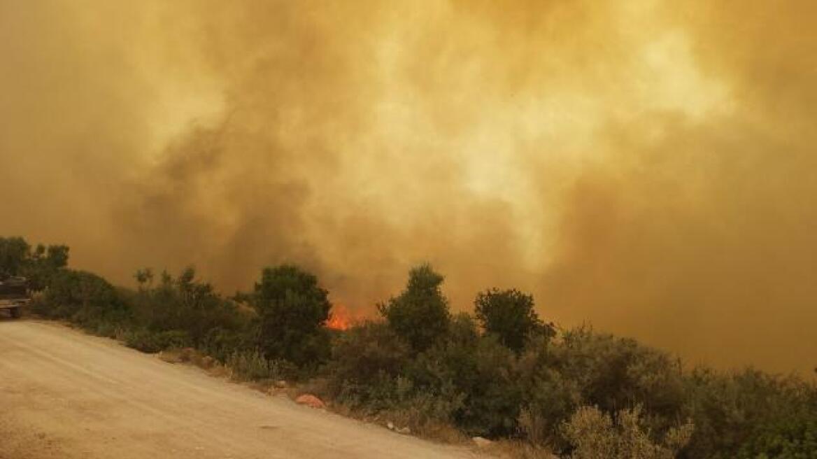 Μάχη με τις φλόγες και τους θυελλώδεις ανέμους στα Χανιά