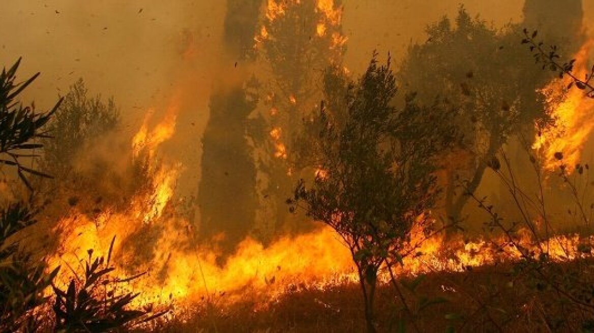 Μεγάλη φωτιά στην Κίσσαμο Χανίων