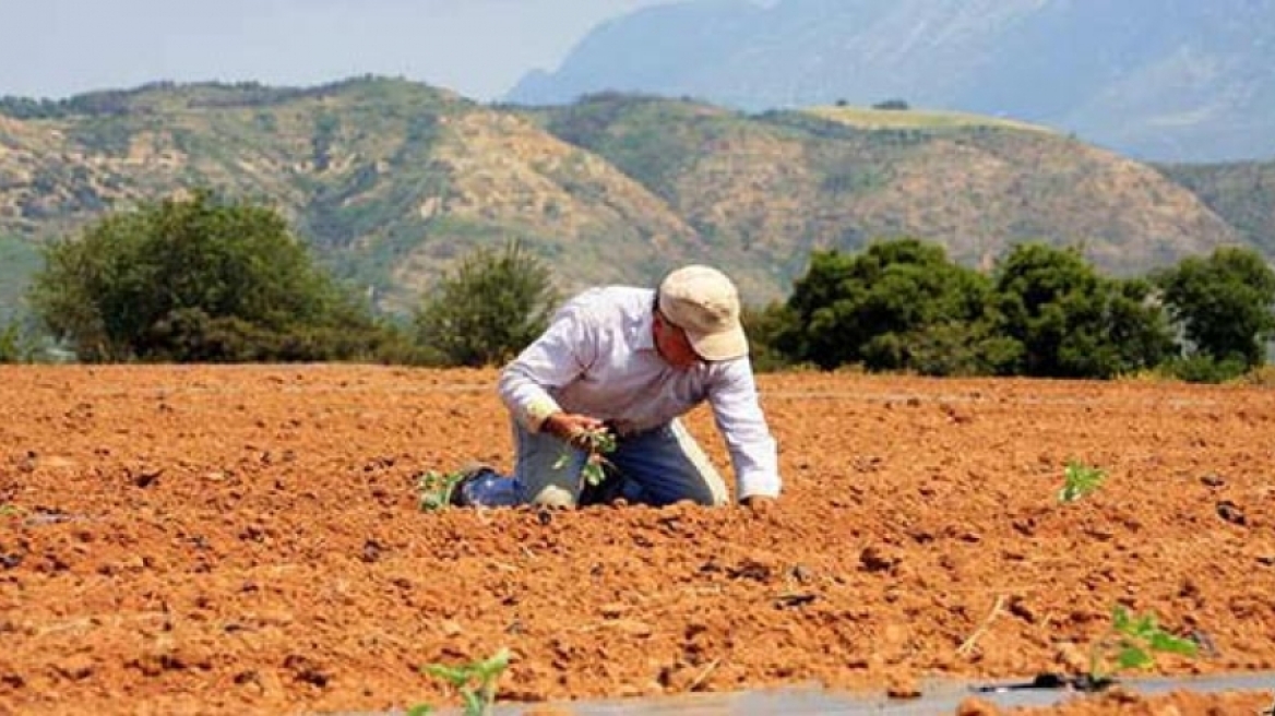 Καπέλο 31% στις ασφαλιστικές εισφορές των αγροτών έφερε ο νόμος Κατρούγκαλου! 