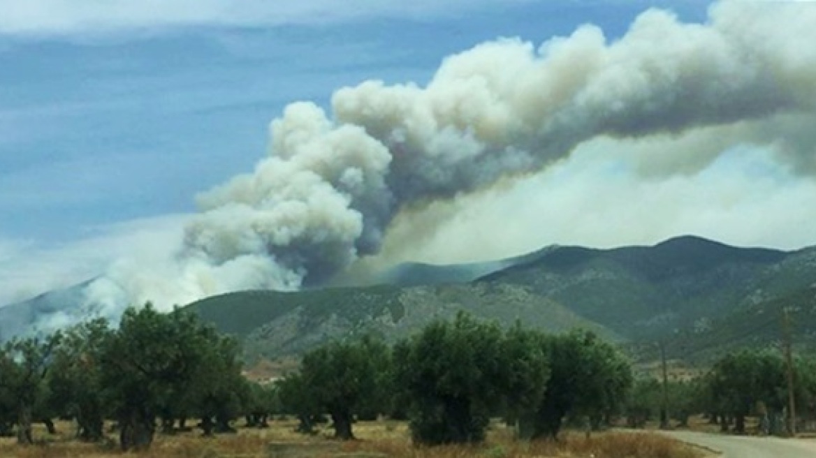 Μεγάλη φωτιά στα Μέγαρα - Στη «μάχη» έξι αεροσκάφη και τρία ελικόπτερα