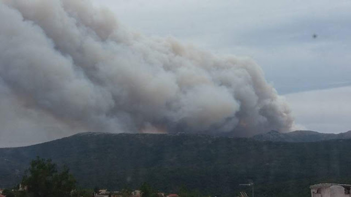 Υπό μερικό έλεγχο η πυρκαγιά στα Μέγαρα