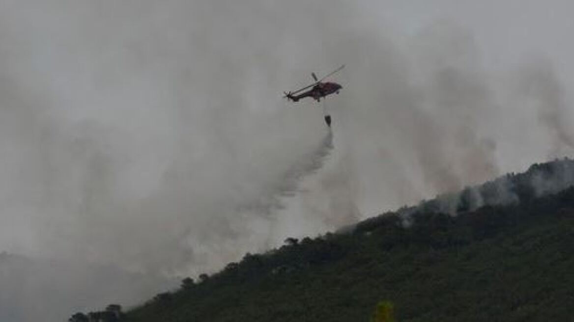 Αττική: 56 πυρκαγιές σε ένα 24ωρο