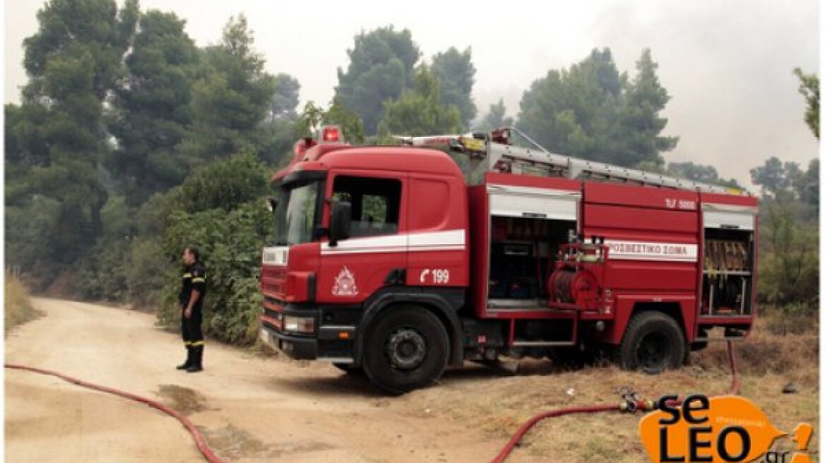 Φωτιά στο Πολύκαστρο - 14 πυροσβεστικά οχήματα στην περιοχή