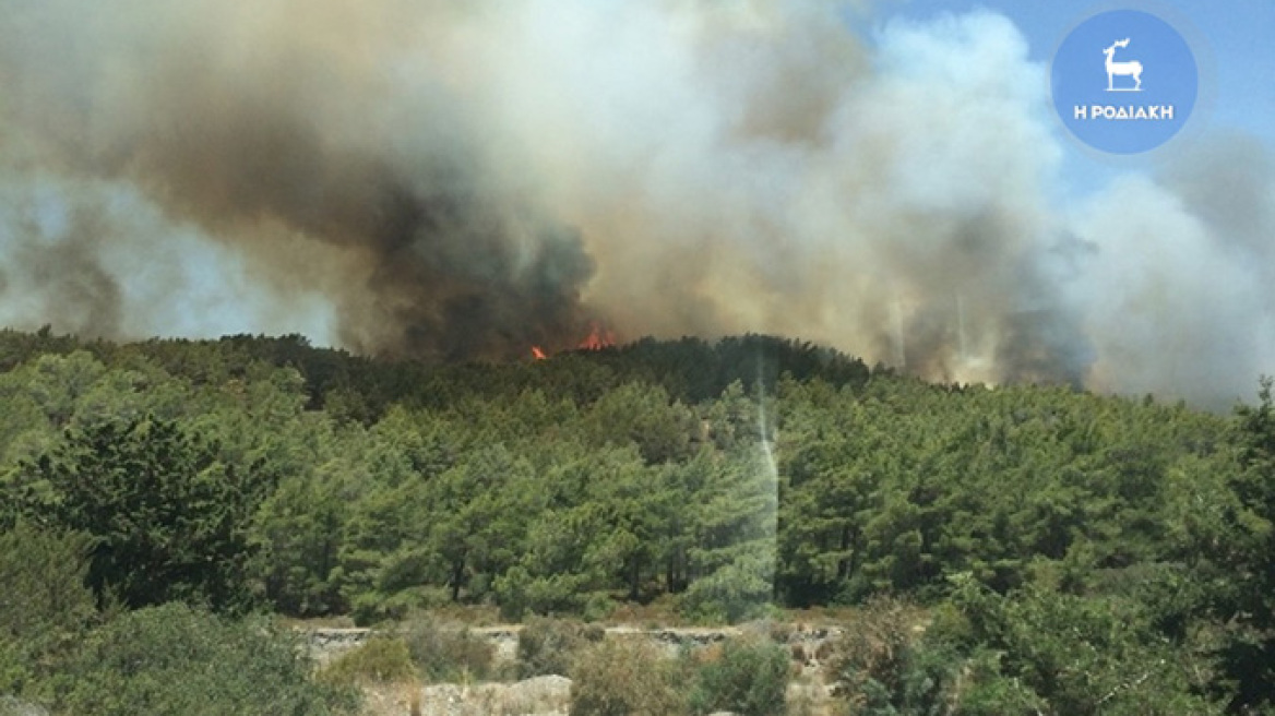 Ρόδος: Ανεξέλεγκτη η πυρκαγιά στην Απολακκιά - Εκκενώθηκε το χωριό 