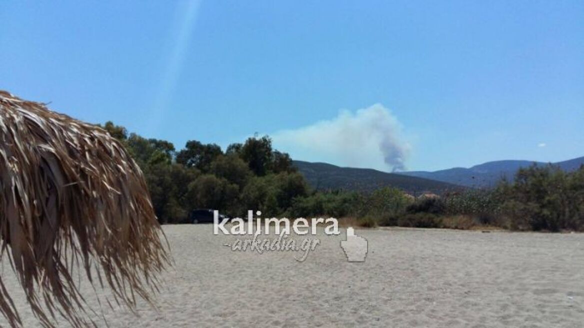 Φωτιά στην Κυνουρία - Οι άνεμοι δυσκολεύουν το έργο των πυροσβεστών 