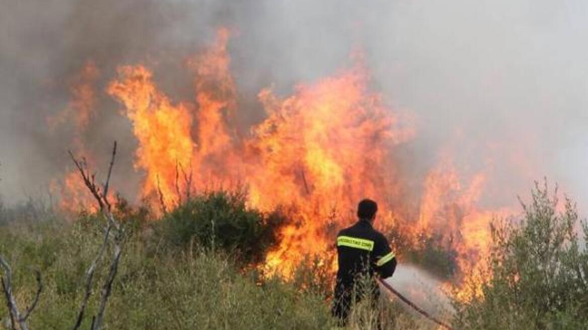 Φωτιά σε χαμηλή βλάστηση στον Μαραθώνα