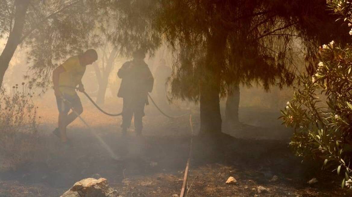 Φωτιά σε δασική έκταση στο Μαρμάρι Ευβοίας