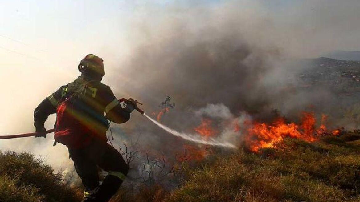 Συνέλαβαν καταζητούμενο εμπρηστή στην Πέλλα