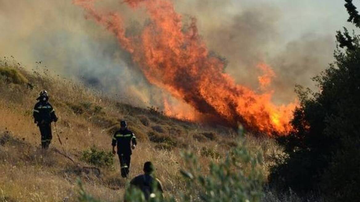 Υπό μερικό έλεγχο η πυρκαγιά στις Ερυθρές Αττικής