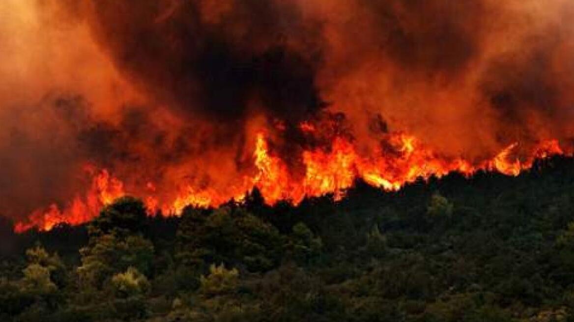 Βόρεια Εύβοια: Η πυροσβεστική διαψεύδει τον Αποστόλου ότι η φωτιά έχει τεθεί υπό έλεγχο