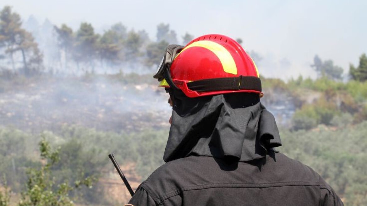 Υπό έλεγχο η φωτιά στην Κόνιτσα Ιωαννίνων