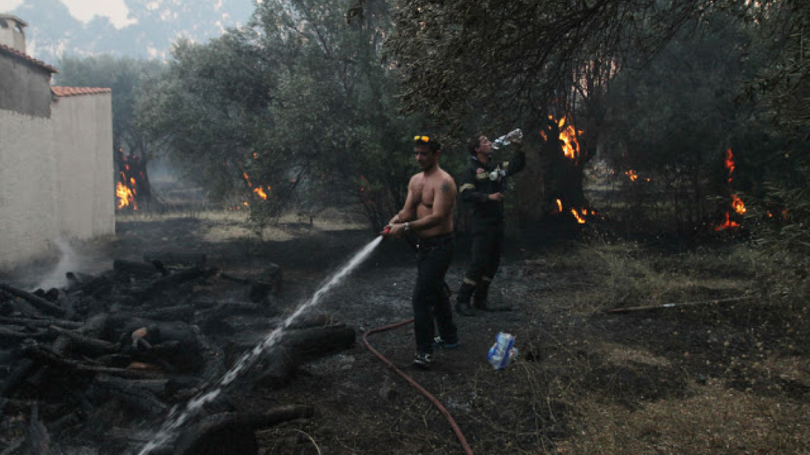 Μάχη των πυροσβεστών στη Βόρεια Εύβοια: Αντιπυρικές ζώνες για τον πλήρη έλεγχο της φωτιάς 