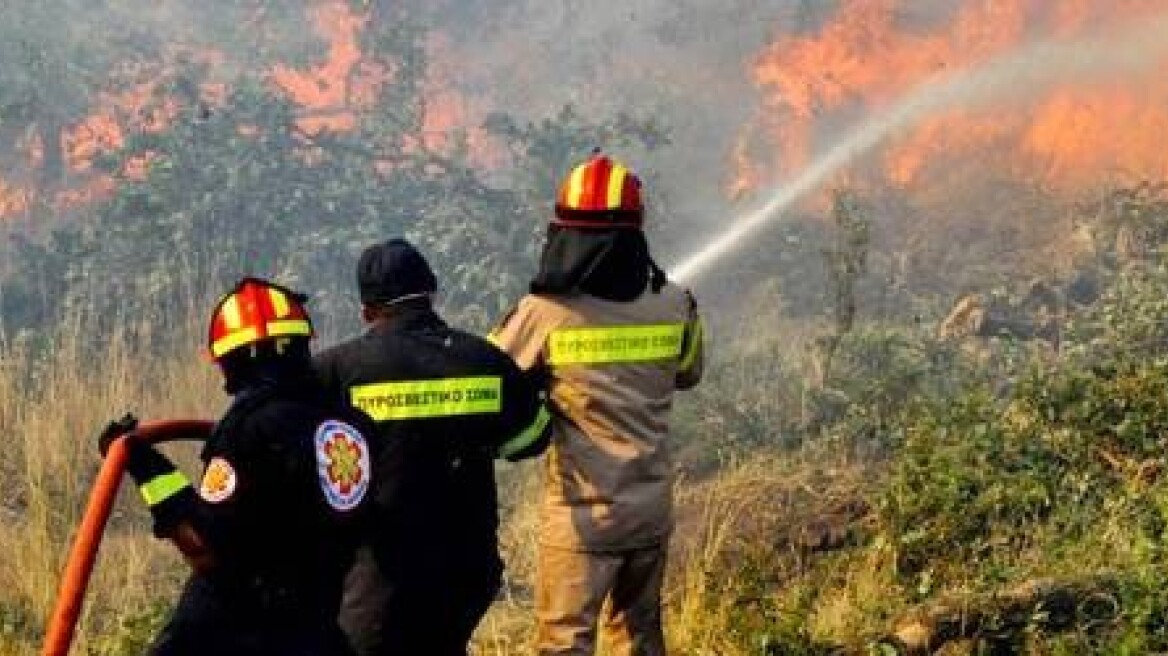 Κανένα ενεργό μέτωπο της φωτιάς στις Βασιλειές- Ισχυρές δυνάμεις παραμένουν στην περιοχή