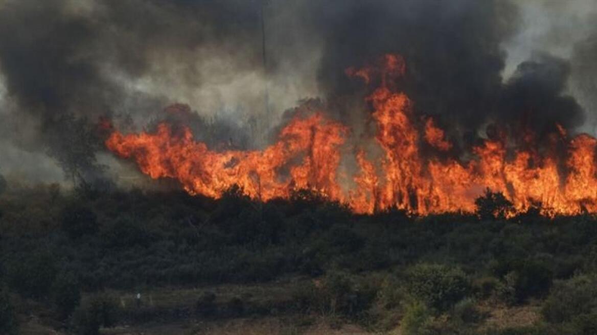 Στο έλεος των πυρκαγιών η Πορτογαλία