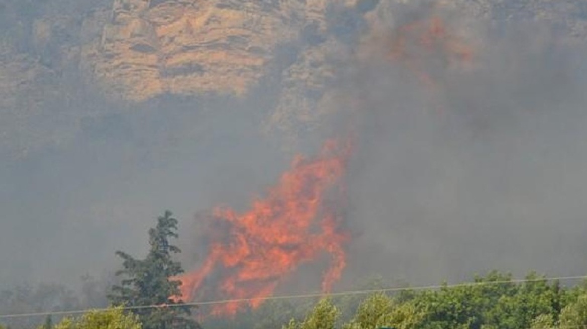 Φωτιά σε δύσβατο σημείο στη Μεταξάδα Μεσσηνίας 