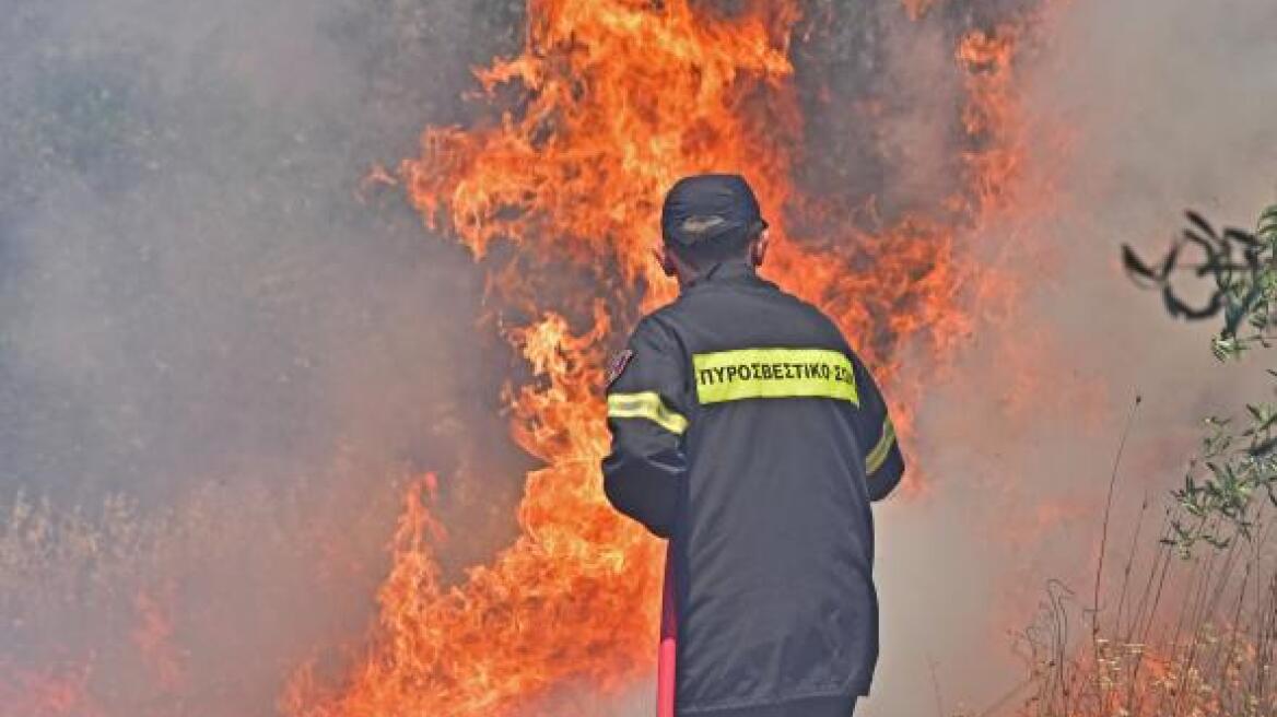 Υπό μερικό έλεγχο η πυρκαγιά στη Δράμα