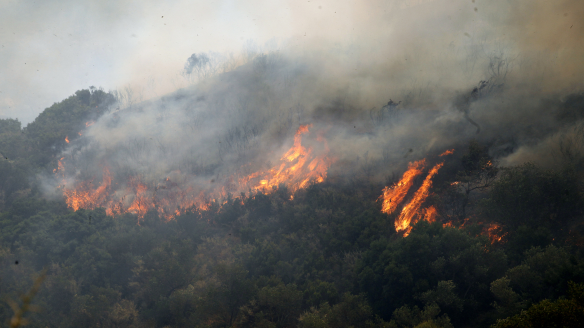 Σε ύφεση η πυρκαγιά σε χαράδρα στα Πηγάδια Μεσσηνίας