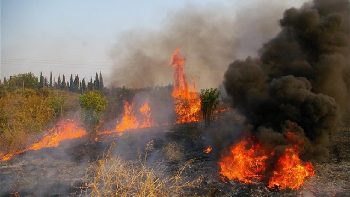 Πυρκαγιά στους Οθωνούς Κέρκυρας