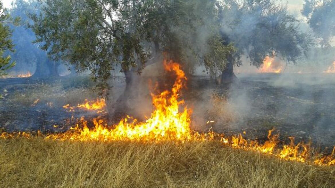 Πυρκαγιά στο Πολύνερο Καβάλας