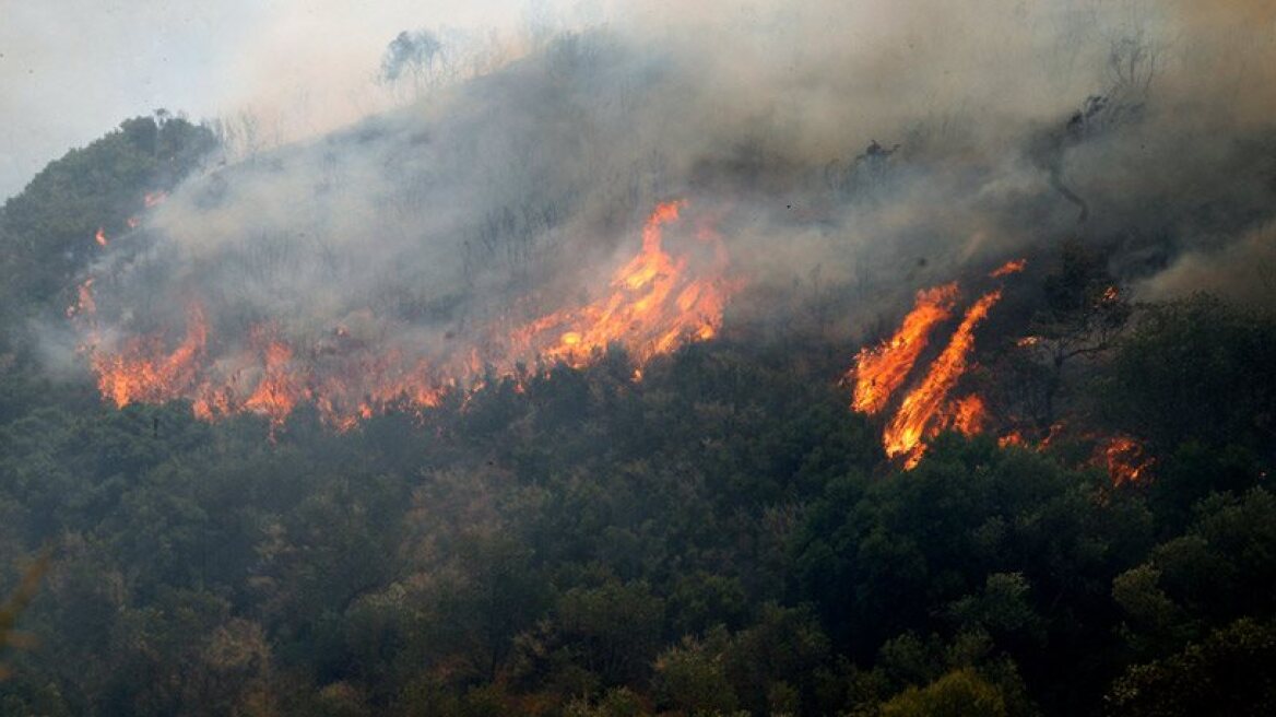 Σε ύφεση η πυρκαγιά στην περιοχή Κοκκίνη Δερβενοχωρίων