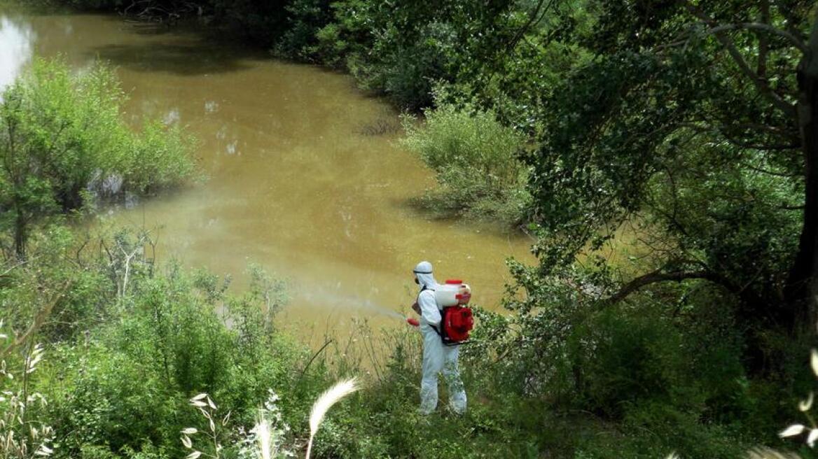 Για αύξηση των κρουσμάτων ελονοσίας προειδοποιεί τώρα το υπουργείο Υγείας