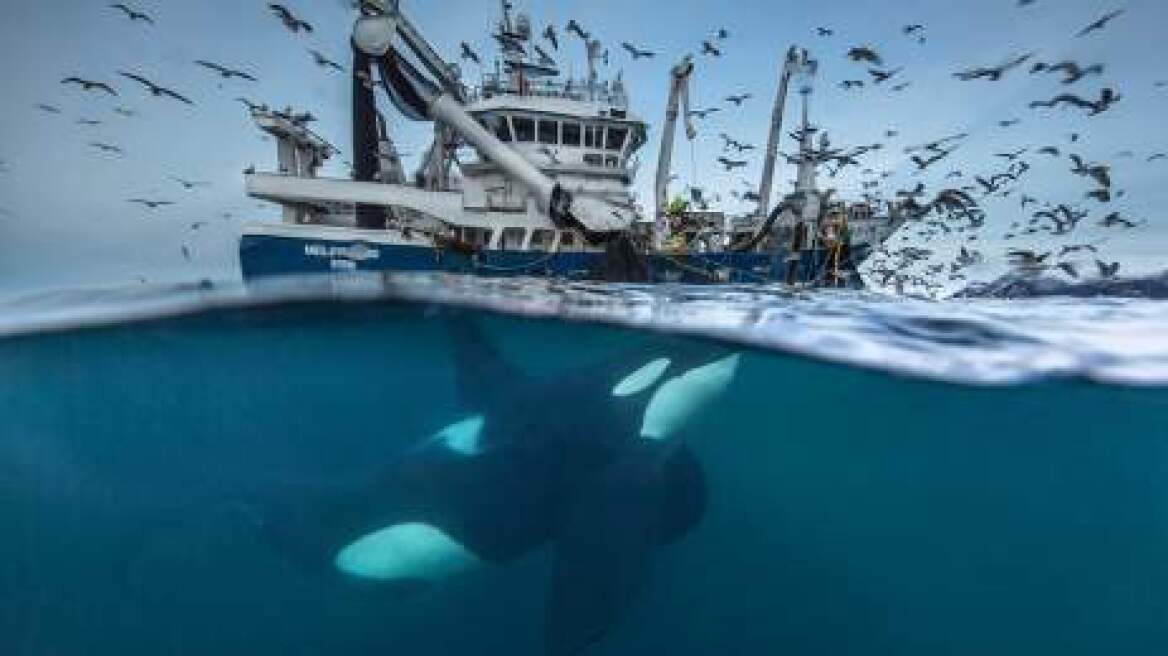 Wildlife Photographer Of The Year: Δείτε έντεκα από τις καλύτερες φετινές φωτογραφίες