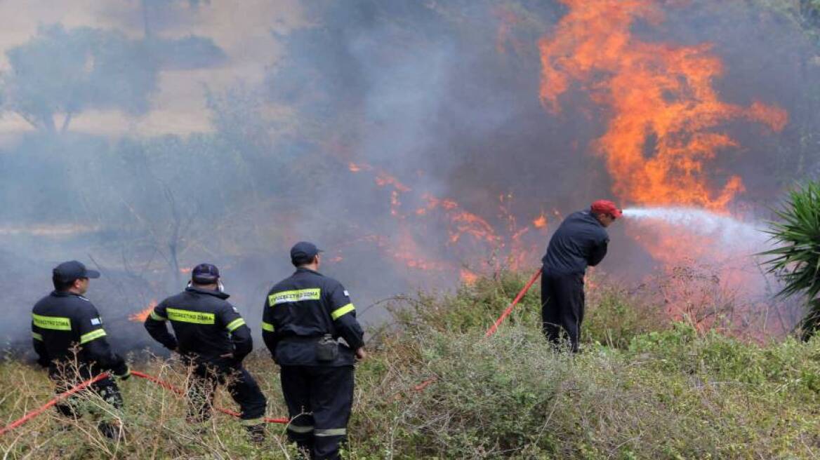 Κρήτη: Εμπρηστές πίσω από την φωτιά στη Μαλάξα