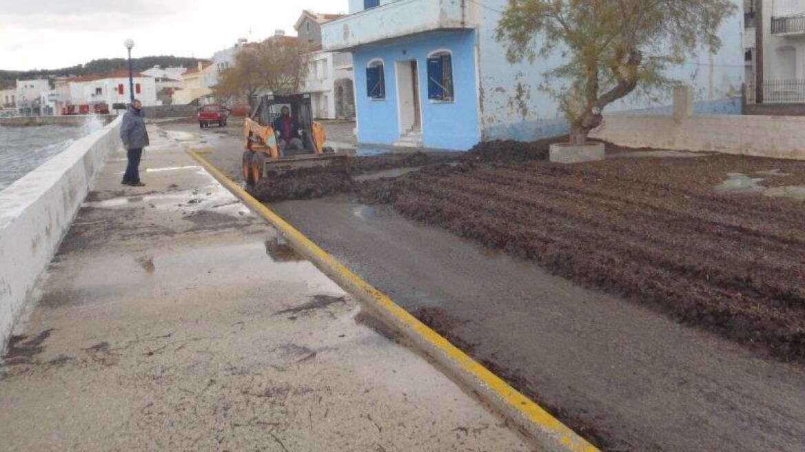 Γέμισαν με... φύκια οι δρόμοι στα Καρδάμυλα της Χίου