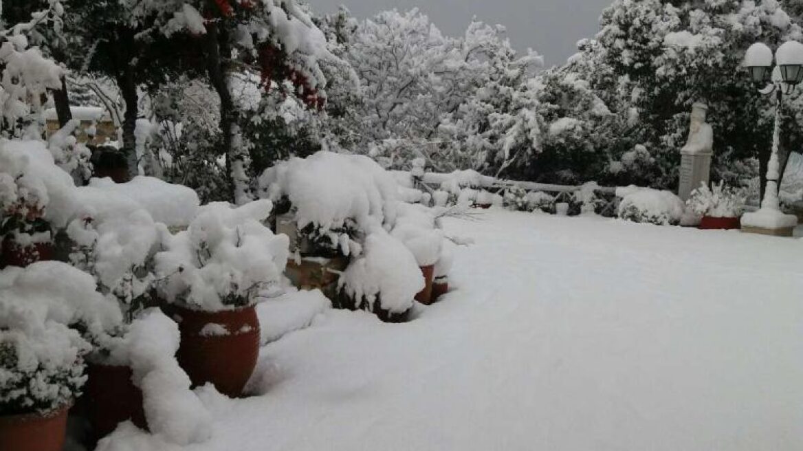 «Πολικές» θερμοκρασίες και χιόνια: Υπό το μηδέν ολόκληρη η Μακεδονία!