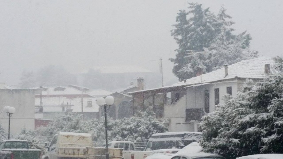 Εγκλωβίστηκαν στα χιόνια κτηνοτρόφοι στη Χαλκιδική