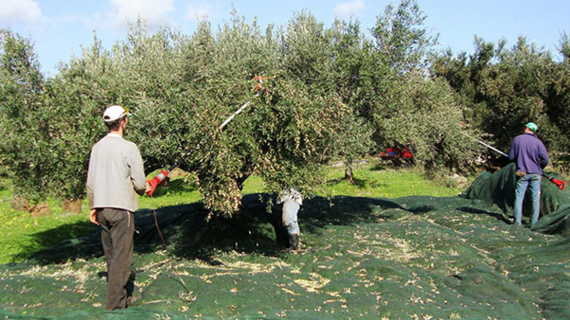 Αυτή είναι η εγκύκλιος για νέες αυξημένες εισφορές των πρώην ασφαλισμένων στον ΟΓΑ