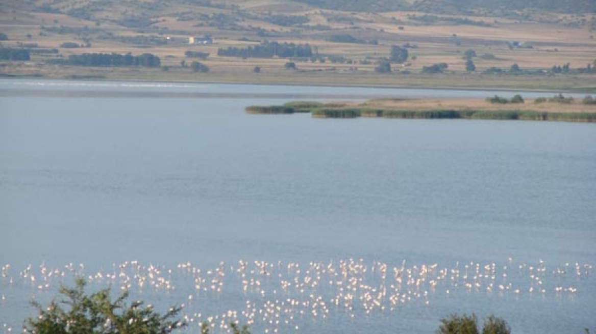 Ενισχύει τα μέτρα βιοασφάλειας η Περιφέρεια Κεντρικής Μακεδονίας για τη γρίπη των πτηνών