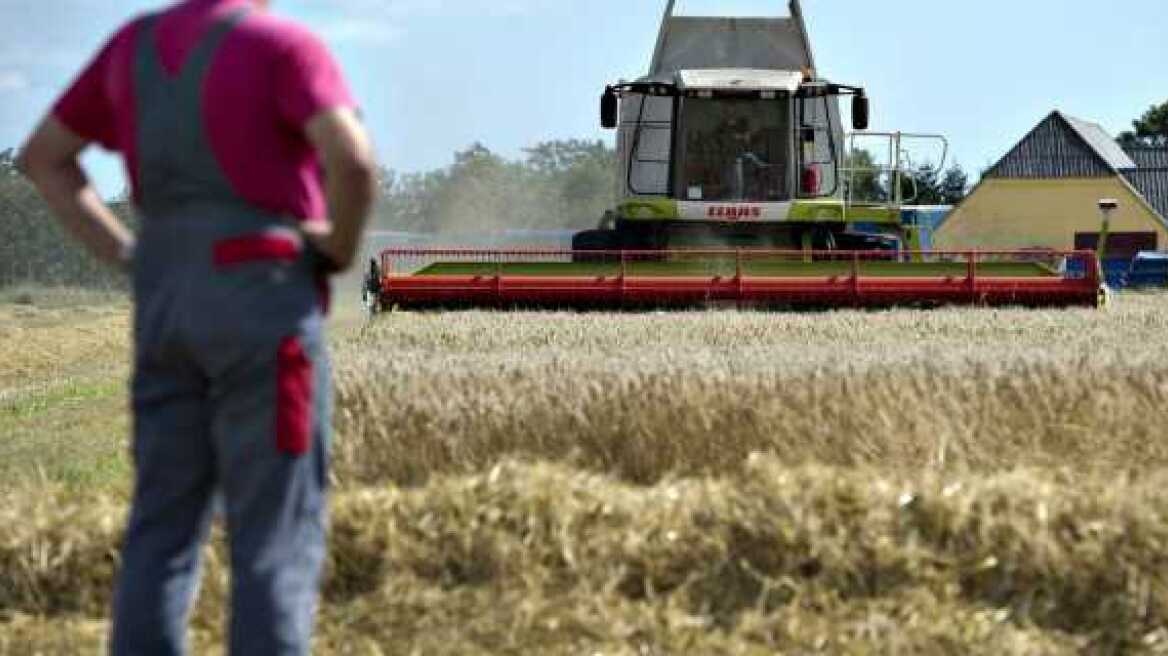 Το ευνοϊκό καθεστώς για τα αγροτικά κόκκινα δάνεια ισχύει και για αγροτικούς  συνεταιρισμούς