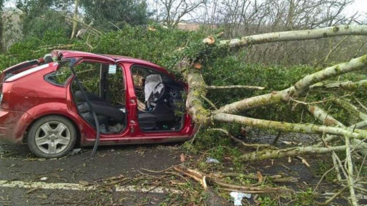 Καταιγίδα Doris: 80χρονος καταπλακώθηκε μέσα σε αυτοκίνητο από δέντρο