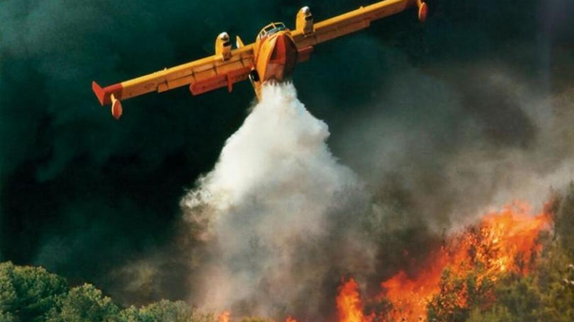 Υπό έλεγχο η φωτιά που ξέσπασε στον Ταΰγετο