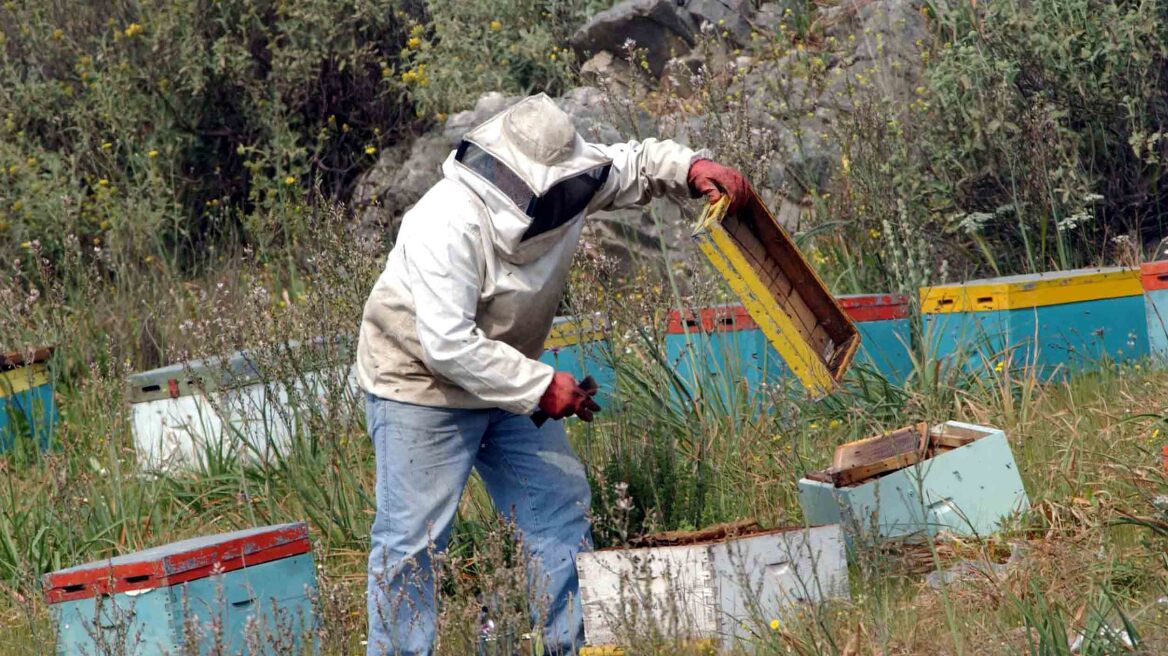 Ηλικιωμένος έκλεβε κυψέλες... high tech στην Καλαμπάκα