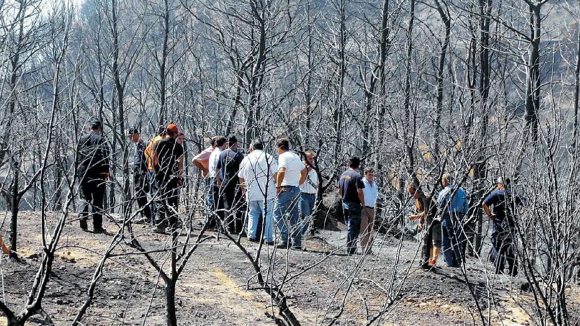 Παρέμβαση του Αντιπεριφερειάρχη Ηλείας για το Ταμείο Μολυβιάτη: Ποιο είναι το υπόλοιπο; 