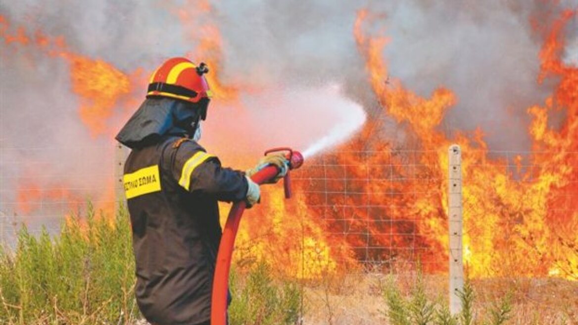 Πάτρα: Υπό έλεγχο η φωτιά που ξέσπασε στην εθνική όδό Πατρών Πύργου