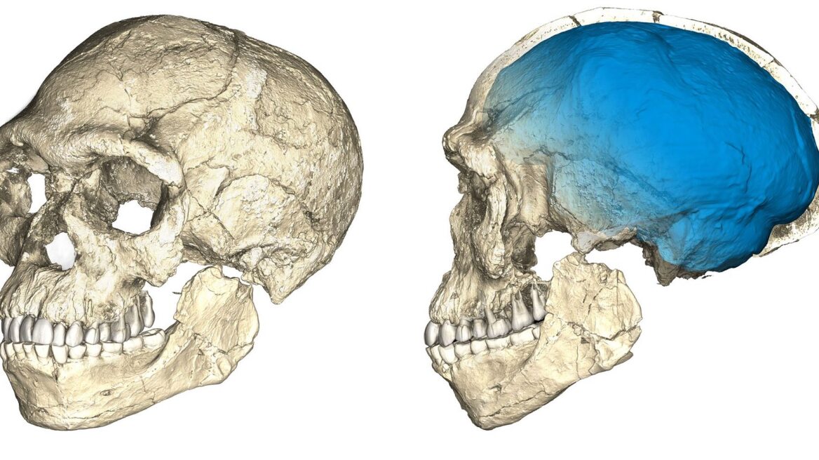 Αλλάζει η ιστορία της ανθρωπότητας: Βρέθηκε Homo Sapiens 300.000 χρόνων στο Μαρόκο
