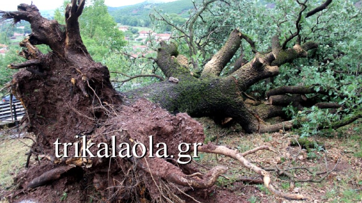 Φωτογραφίες: Ανεμοστρόβιλος σάρωσε τα Τρίκαλα