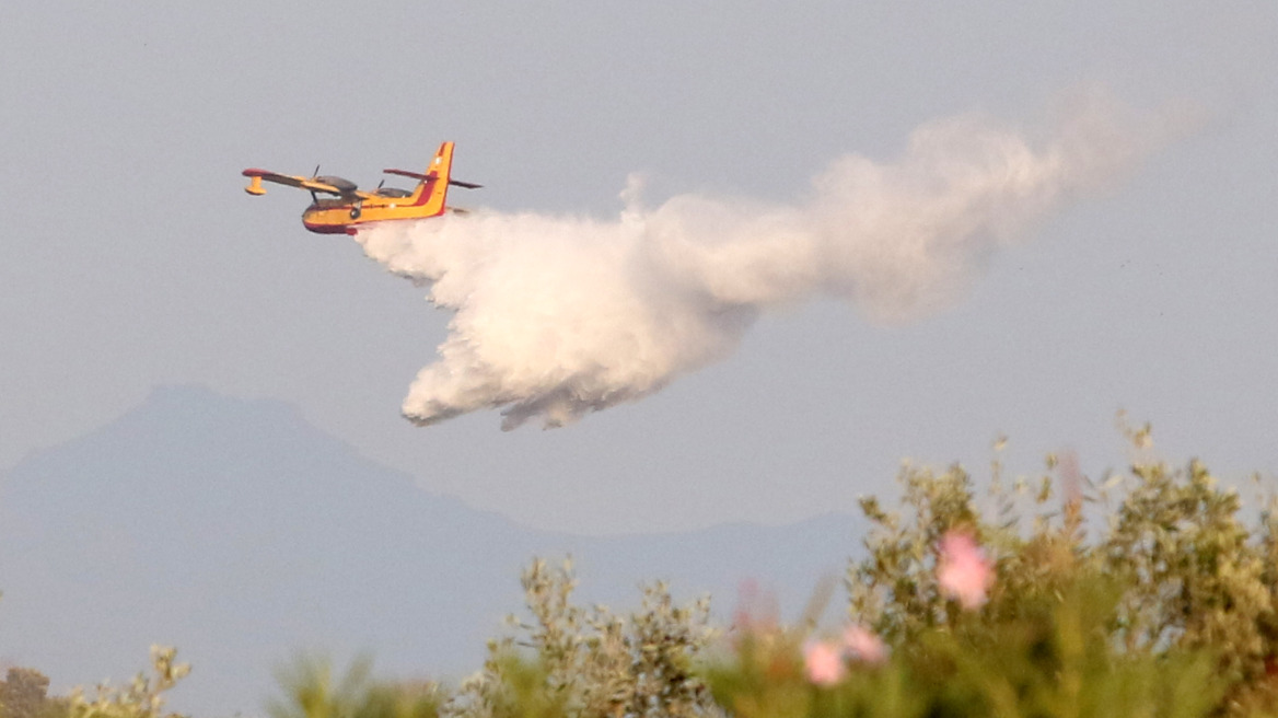 Υψηλός ο κίνδυνος πυρκαγιάς εν μέσω καύσωνα 