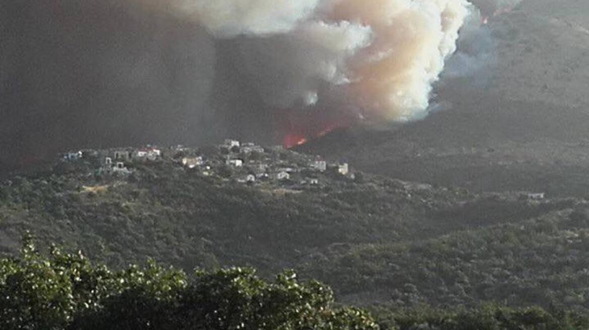 Φωτιά στη Μάνη: Κάηκαν 15 σπίτια - Μεγάλο πλήγμα στην παραγωγή λαδιού