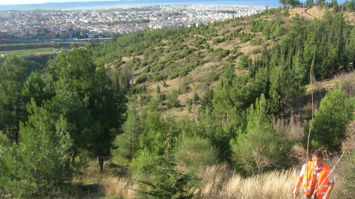 Θεσσαλονίκη: Κλείνουν το δρόμο για Σέιχ - Σου, λόγω κινδύνου εκδήλωσης πυρκαγιάς