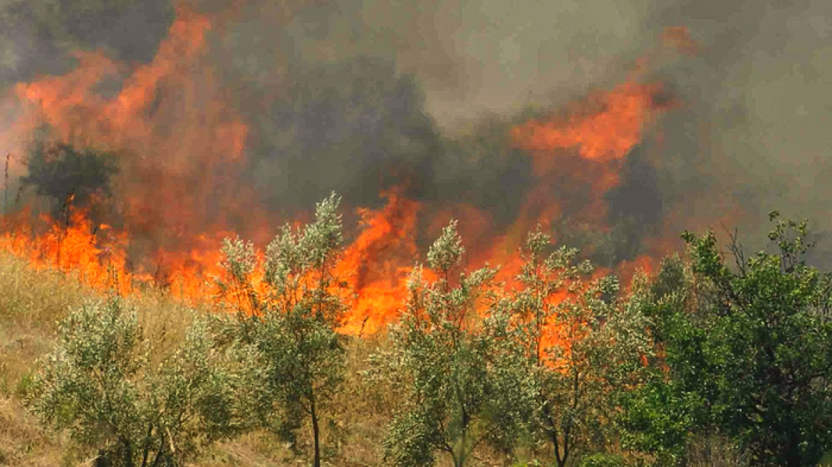 Ολονύχτια μάχη με τις φλόγες στη Ροδόπη - Σε ύφεση τα μέτωπα στη Μάνη