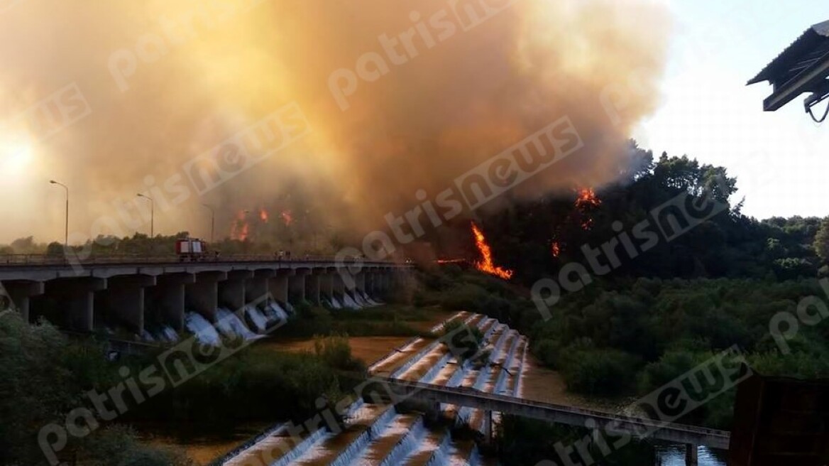 Πύργος: Φωτιά στο παρθένο δάσος της Αλφειούσας - Κινείται προς την Αρχαία Ολυμπία